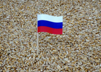 Russlands bemerkenswerte Evolution im Agrarsektor: Aufschwung nach Katastrophe der 1990er Jahre