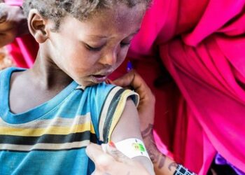 Studie: US-Kriege nach 9/11 forderten 4,5 Millionen Menschenleben