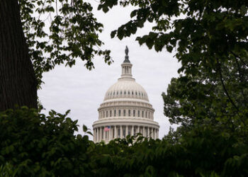 Wegen Unterstützung für Russland: US-Abgeordnete fordern Bestrafung Südafrikas