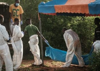Zu Tode gehungert, um "Jesus zu treffen": Sektendrama in Kenia mit mittlerweile mehr als 300 Toten