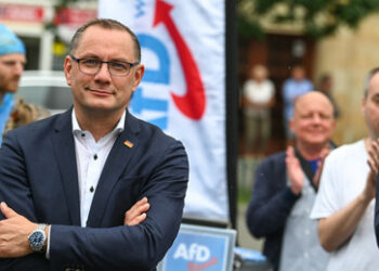 22 Prozent: AfD erreicht in Umfrage neuen Rekordwert