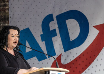 28 Prozent – AfD nun auch in Brandenburg stärkste Partei