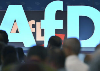 AfD-Parteitag in Magdeburg: Partei tritt der Fraktion "Identität und Demokratie" auf EU-Ebene bei