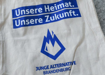 Brandenburgs AfD-Jugendorganisation wird vom Verfassungsschutz als rechtsextremistisch eingestuft