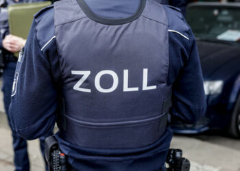 Deutscher Zoll beschlagnahmt Autos mit russischen Kennzeichen - schon bei der Einreise