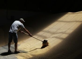 Experte: Russland verlor durch den Getreidedeal fast eine Milliarde US-Dollar pro Jahr