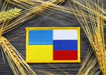 Getreidedeal im Interesse der EU? UN veröffentlicht aktuelle Daten