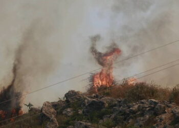 Griechenland kämpft weiter mit Waldbränden ‒ ohne russische Löschflugzeuge