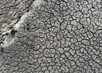 Lateinamerika im Klimawandel: Eine Krise, die über Umweltschäden hinausgeht