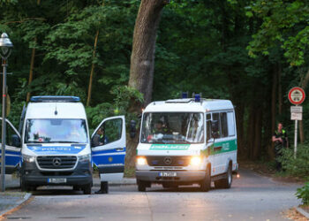 Polizei: Die "Löwin" war ein Wildschwein (oder zwei)