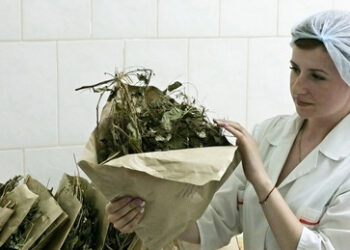 Traditionelle chinesische Medizin aus Russland: Hersteller GPHL kauft Kräuter aus "kalter Region"