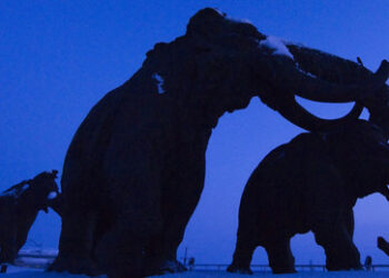 Vorwärts in die Vergangenheit? Im russischen Norden erschafft man Mammut-Welten neu