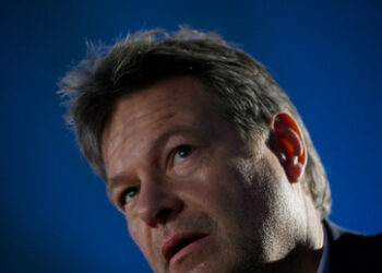 Warum die Deutschen keine Angst haben, sondern in Panik ausbrechen sollten: Habeck im Interview