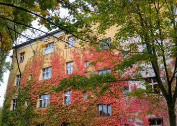 Wenn der Habecksche Heizhammer überlebt ist, kommt die Dampfwalze der EU