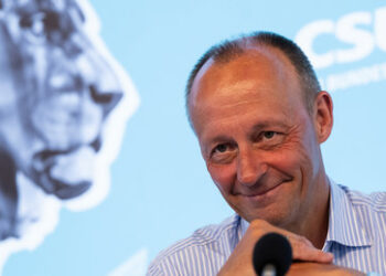 Wer sind die Guten? Merz, die AfD und das Schaulaufen im Sommerloch