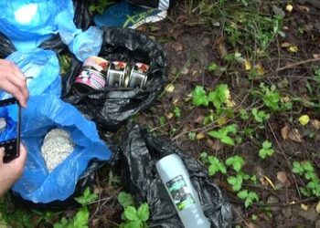 Anschlag vereitelt: FSB nimmt Russen fest, der sich dem Asow-Regiment anschließen wollte