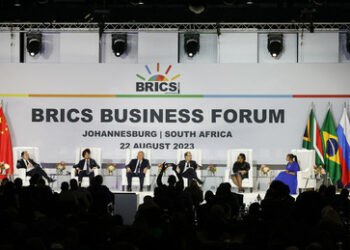 BRICS-Gipfel in Südafrika: Der Gegenpol zu der vom Westen dominierten Weltordnung
