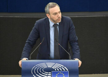 EU-Abgeordneter der Grünen befürwortet ukrainische Angriffe auf Russland