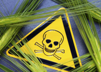 EU-Länder exportieren weiterhin verbotenes Pestizid in Entwicklungsländer