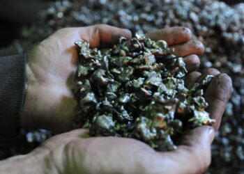 Europa besonders betroffen: Weltwirtschaft immer mehr mit neuer kritischer Abhängigkeit konfrontiert