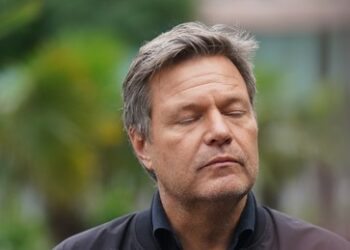 German Suicide und German Angst – Grüne Ideologisierung der Ökonomie