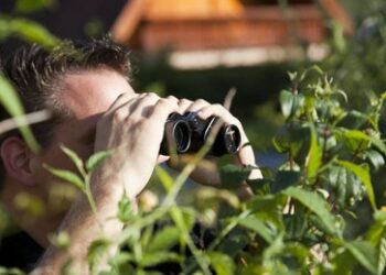 Hinweisgeberschutzgesetz: Hunderttausend neue Meldestellen für Denunziation
