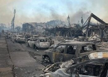 Hurrican Dora sorgt auf Hawaii für Waldbrände, Chaos und bis dato sechs Tote