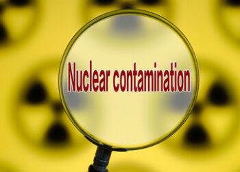 Japan beginnt mit Verklappung von Fukushima-Kühlwasser ins Meer