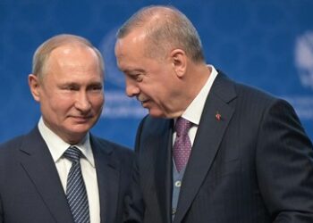 Medien: Erdoğan will Vermittlerrolle im Ukraine-Konflikt anbieten
