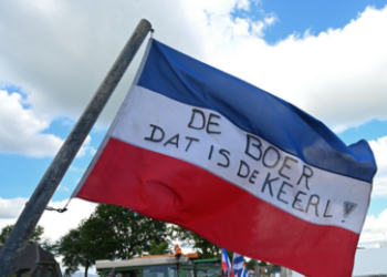 Niederlande: Regierungskrise wegen Bauernenteignung und Migrationspolitik