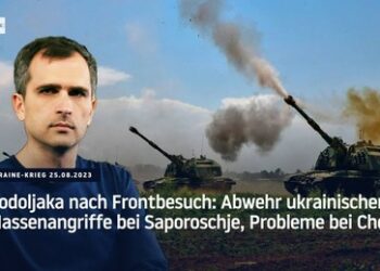 Podoljaka nach Frontbesuch: Abwehr ukrainischer Massenangriffe bei Saporoschje, Probleme bei Cherson