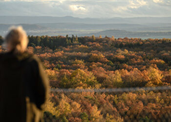 Rentner beklagt: "Der Staat holt sich die Häuser zurück"