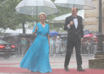 Sonneborn zum "Digital Services Act": Von der Leyen zerschlägt Grundrechte und streut Desinfomation