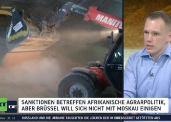 Südafrika fordert die EU auf, beschlagnahmte Lieferungen rusisscher Düngermittel freizugeben