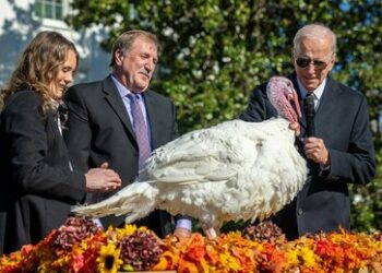 Thanksgiving als neuer Feiertag in der Ukraine – Dankbarkeit auf einer nationalen Ebene