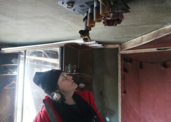 Von Haien und Robben – Warum die Ukrainerin Montjan heute gegen Verhandlungen ist