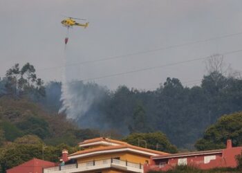 Waldbrände auf Teneriffa – Brandstiftung, nicht Klimakrise