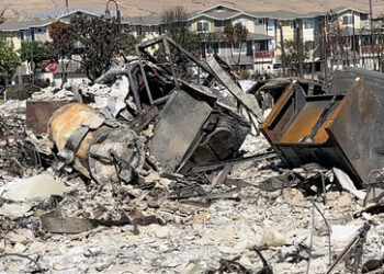 Wurde Maui für die Errichtung einer Smart-City-Insel mutwillig zerstört?