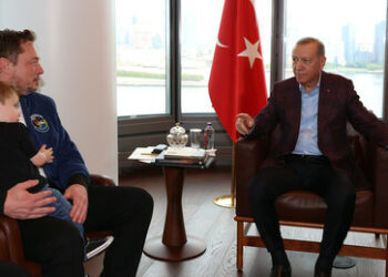 Gespräche mit Musk: Erdoğan will nächste Tesla-Gigafabrik in die Türkei holen