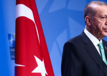 Medien: Erdoğan hält geschlossene Treffen mit G20-Staatschefs zum Getreideabkommen ab