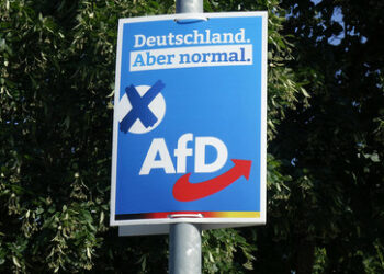 Nun auch Brandenburg und Hessen: AfD-Zustimmung wächst und wächst