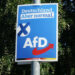 Nun auch Brandenburg und Hessen: AfD-Zustimmung wächst und wächst