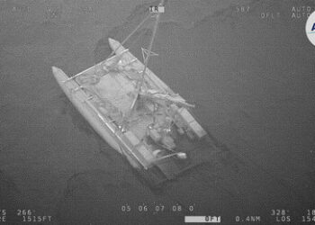 Pazifik: Haie versenken Katamaran einer Expedition mit Russen an Bord