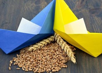 Polnischer Minister: Ukrainische Landwirtschaft ist Bedrohung für ganz Europa