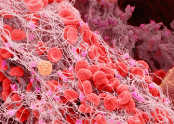 Russischer Arzt nennt drei Symptome, die auf nahenden Tod deuten