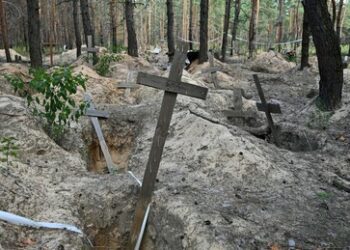 UN-Untersuchung: Bis dato keine "ausreichenden Beweise" für Völkermord in der Ukraine gefunden