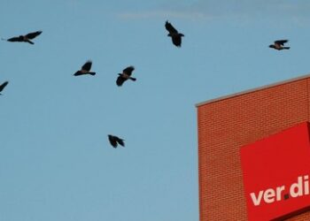 Verdi-Spitze steuert auf Kriegskurs – Mitglieder wehren sich