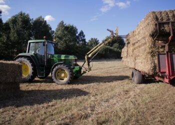 Weizenpreise fallen: Russische Rekordernte verdrängt ukrainische Lieferungen