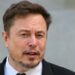 "Weiß deutsche Öffentlichkeit davon?" – Musk zofft sich wegen Migrationspolitik mit Auswärtigen Amt