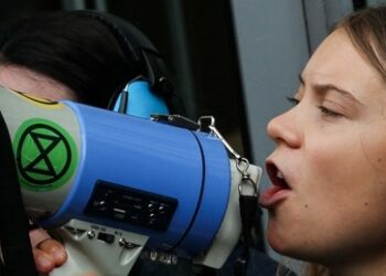 Greta Thunberg löscht "antisemitischen" Tweet